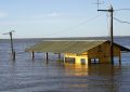 La crecida del Paraná rompió un terraplén en Paso de la Patria y el agua avanzó sobre tres barrios