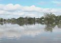 El Niño golpea el Litoral: crecidas del Paraná y el Uruguay dejan evacuados en Entre Ríos y Corrientes