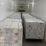 El pacú del Chaco llega a Estados Unidos: el SENASA certificó un envío de más de 8,6 toneladas